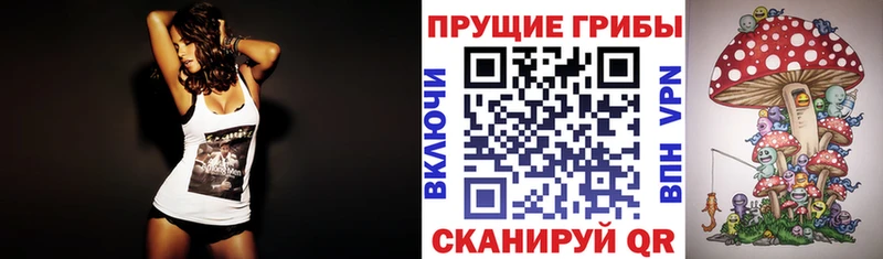 Галлюциногенные грибы Cubensis  продажа наркотиков  Кубинка 