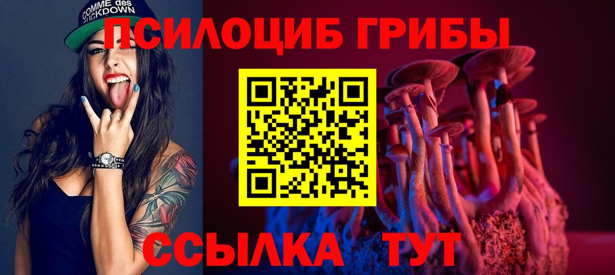 Псилоцибиновые грибы Psilocybe  Вход с VPN  Кубинка  Галлюциногенные грибы Cubensis 